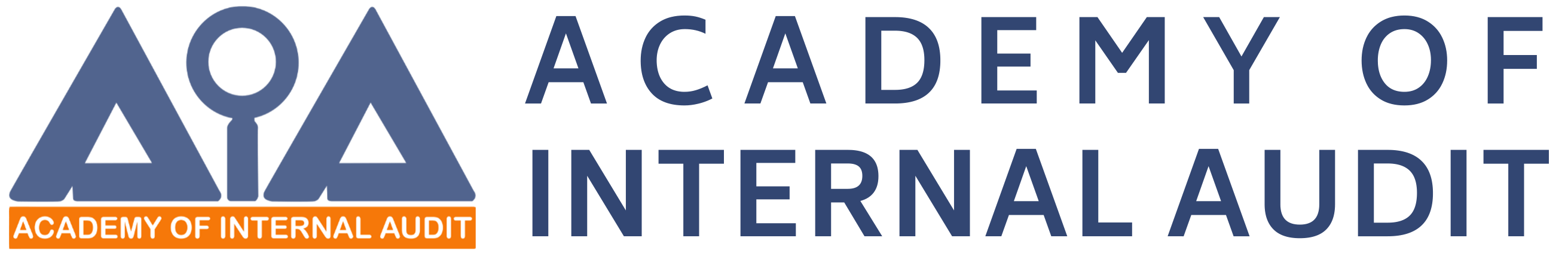 The Logo- Academy of Internal Audit